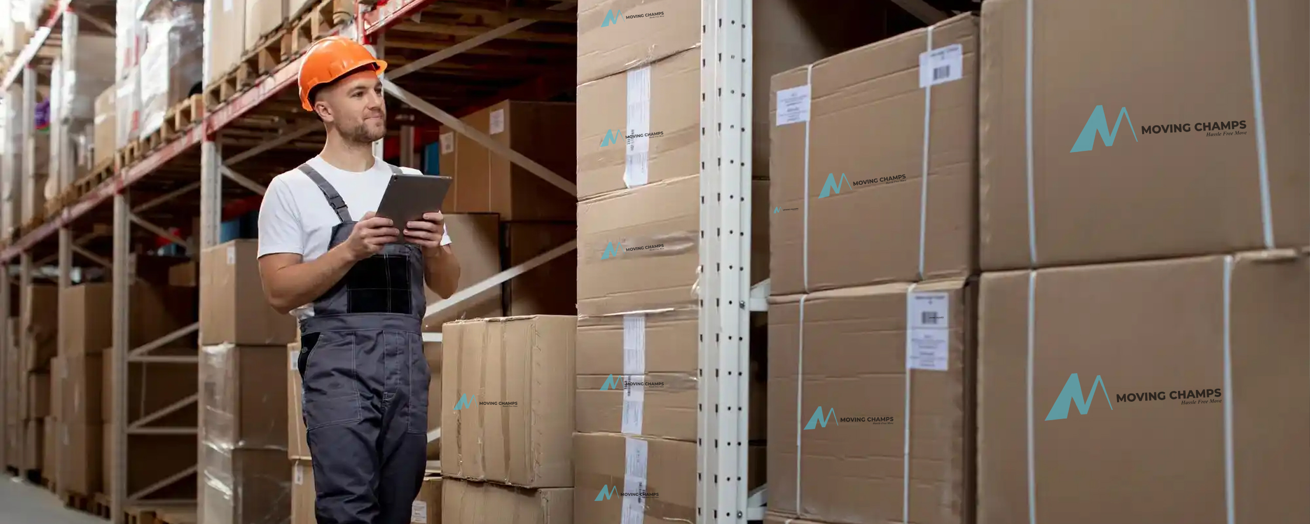 Storage Services In Canada