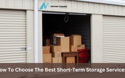 How To Choose The Best Short-Term Storage Services?