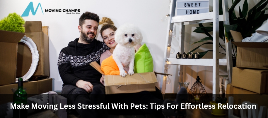 Make Moving Less Stressful With Pets: Tips For Effortless Relocation