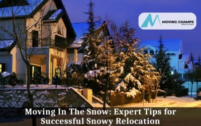 Blog 7 Moving In The Snow: Expert Tips For Successful Snowy Relocation