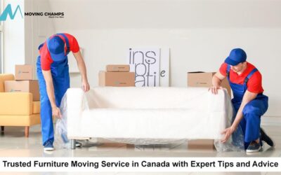Blog 5 Trusted Furniture Moving Service in Canada with Expert Tips and Advice